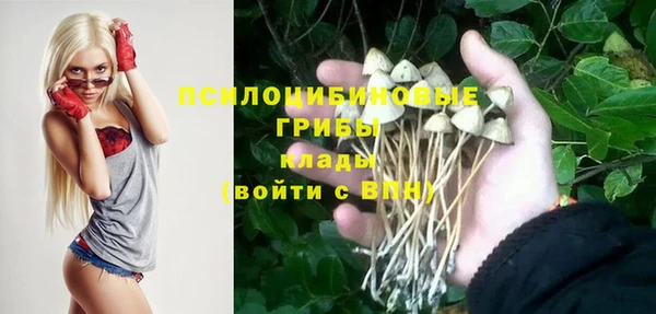 не бодяженный Зеленокумск