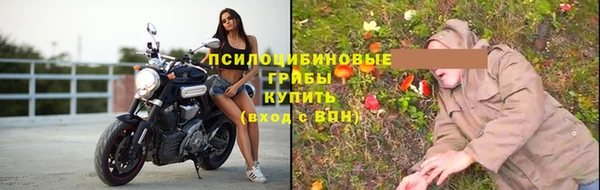 apvp Зерноград