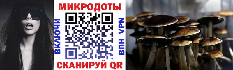 Купить закладки  Вилючинск  Галлюциногенные грибы ЛСД 